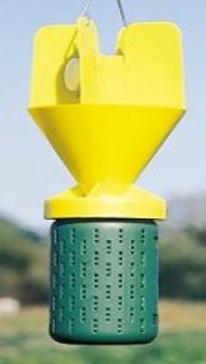 Japanese Beetle trap which consists of two plastic parts, a green cylinder on the bottom and a yellow cone on top