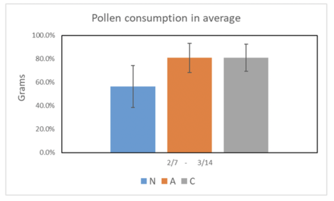 pollen consumption butterfly 