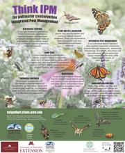 A poster with different insects on it and text bubbles explaining IPM