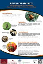 A poster with a few pictures of Japanese Beetle and their predators in bubbles with text explaining biocontrol